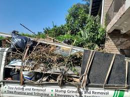 Shed Removal in Edwards, MS